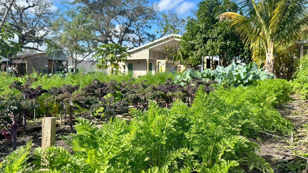 15th Street Farm